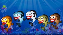 Fish Cartoons Singing Finger Family Children Nursery Rhymes for Kids and Babies