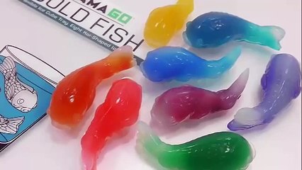 How To Make Fish Jellies with Slime Color Pudding Fun For Kids by Jelly Cooking