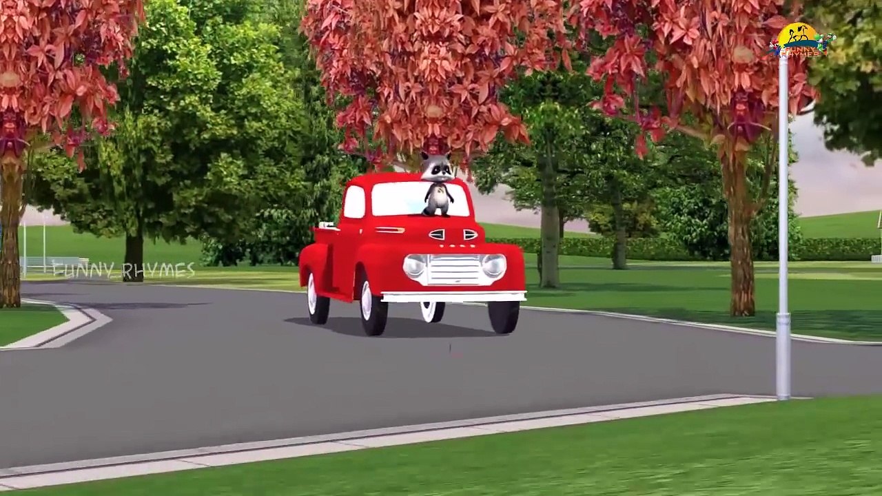 dog cat fish Finger Family Nursery Children 3d English Rhymes | 3d Animals Collection