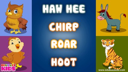 The Animal Sounds Song | Sounds of the Animals Song