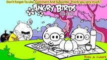 Coloring Pages And Learn Colors For Kids With Angry Birds