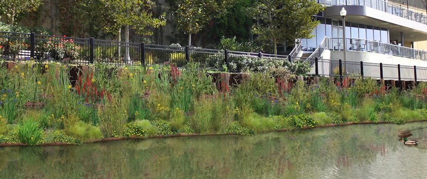Installation de jardins flottants sur le canal de Chicago