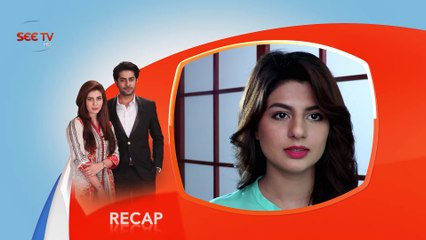 Apnay - Episode#41 - Complete - 26 Nov,2016 - SEE TV