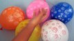 Fireworks Water Wet Balloons Songs - Learn Colors Fireworks Balloon Finger Family Nursery Rhymes