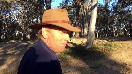 4x4   80 Series doing Sunny Corner Bastard Hill   ALLOFFROAD #94