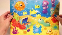 Play Doh Ocean Animals Octopus playdo playset