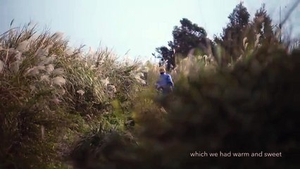 amber kuo - bird and tree