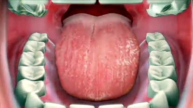 Pediatric First Visit | Phan-tastic Smiles