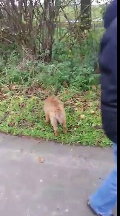 Laya en promenade avec toute sa famille