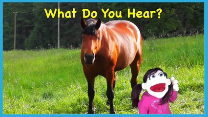 What Do You Hear? Song #2 | Learn With Matt | Learning Vehicle and Animal Sounds English Kids