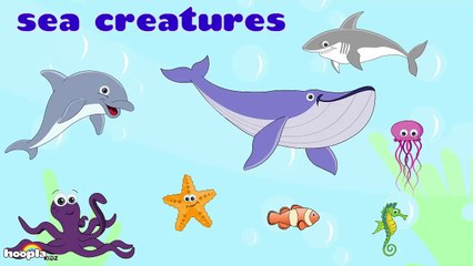 Learn About Sea Creatures - Preschool Activity