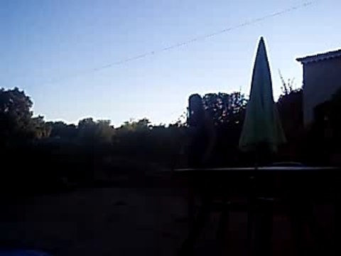 Moi sote a leau abillé