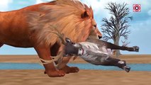African Lion Hunting Deer Animal Videos for Children | Lion Vs Deer Animal Attacks Cartoon Video