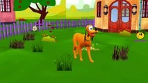 Pluto Dog Finger Family Rhymes for Children | Funny Dogs Finger Family Nursery Rhymes