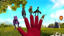 Dinosaurs Finger Family Songs | Cartoon Dinosaurs Finger Family Nursery Rhymes | Animals Rhymes