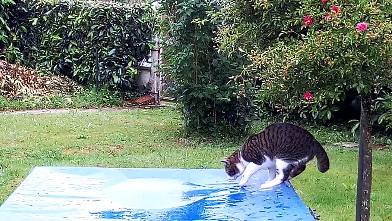 Arpèges à la Guitare