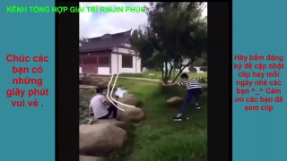 The funniest laughs compilation_70