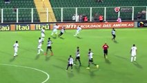 Melhores Momentos - Gol de Figueirense 1x0 Fluminense - Campeonato Brasileiro (27-11-16)