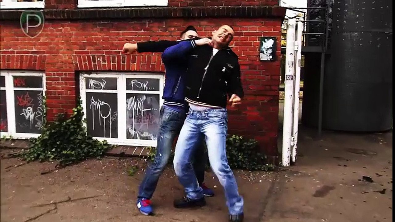 MARTIAL ARTS vs STREET FIGHT