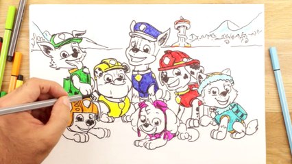 1, 2, 3… Coloriage | Episode 119 (EN INTEGRALITE) | NICKELODEON JUNIOR