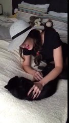 Beautiful Joanna playing with her cat
