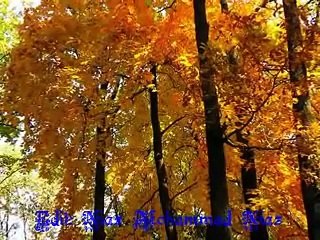 New pashto 2011 naice BeautIful naat- pa quraishi janan kaffan ghowarigi