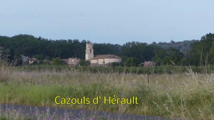 1er Festival de l'environnement  Cazouls d'Hérault "Allo la terre ici Cazouls"