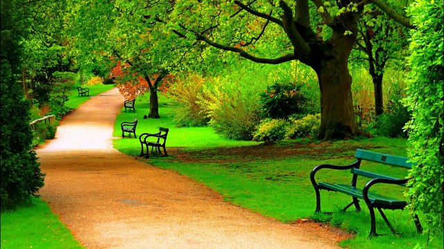 QuickBooks Tech Support number +1 888-336-0774 Quckbooks Tech Support Phone number