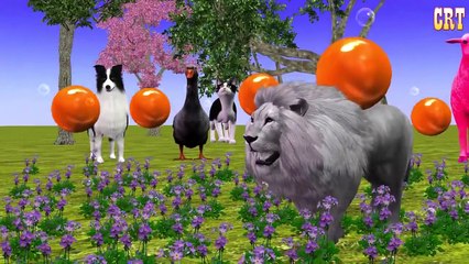 Fish Colourful Colour Song || Children Rhymes For Nursery Rhymes Collection