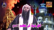 Shia zakir abusing sahaba in Live T v Program Tauseef ur rehman 2016