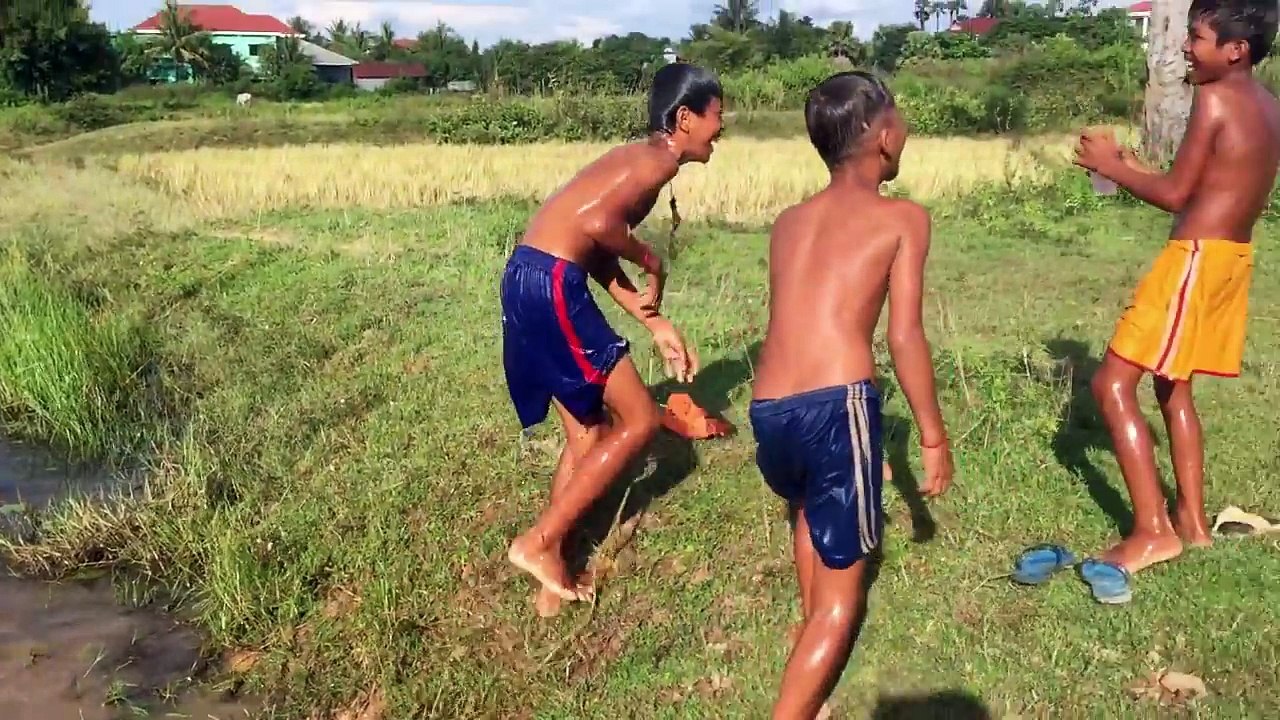 Amazing Day - Enjoy Swimming in Natural Pond - Collect Water LiLy Flower​​ - Best Funniest Video