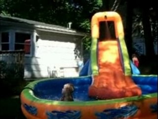 Banzai Falls Splash Blast Lagoon