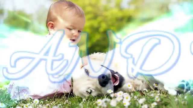 Baby laughing at Labrador dog