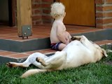 Bebe Y Su Perro Labrador ★ bebes divertidos - risa bebe - bebe humor - bebes chistosos