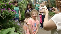 Butterfly Jungle Opens at San Diego Zoo Safari Park