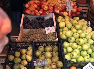 Prskanje voća, 28. novembar 2016. (RTV Bor)