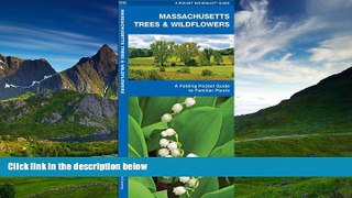 READ THE NEW BOOK Massachusetts Trees   Wildflowers: A Folding Pocket Guide to Familiar Species