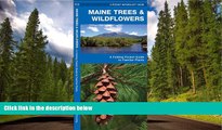 READ THE NEW BOOK Maine Trees   Wildflowers: A Folding Pocket Guide to Familiar Species (Pocket