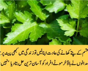 Ager yeh 2 qisam k patey khane ki adat apna lein to kbhi pait per charbi nahi ho ge