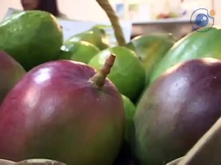 Coisas do Sertão   Ração Para Peixes
