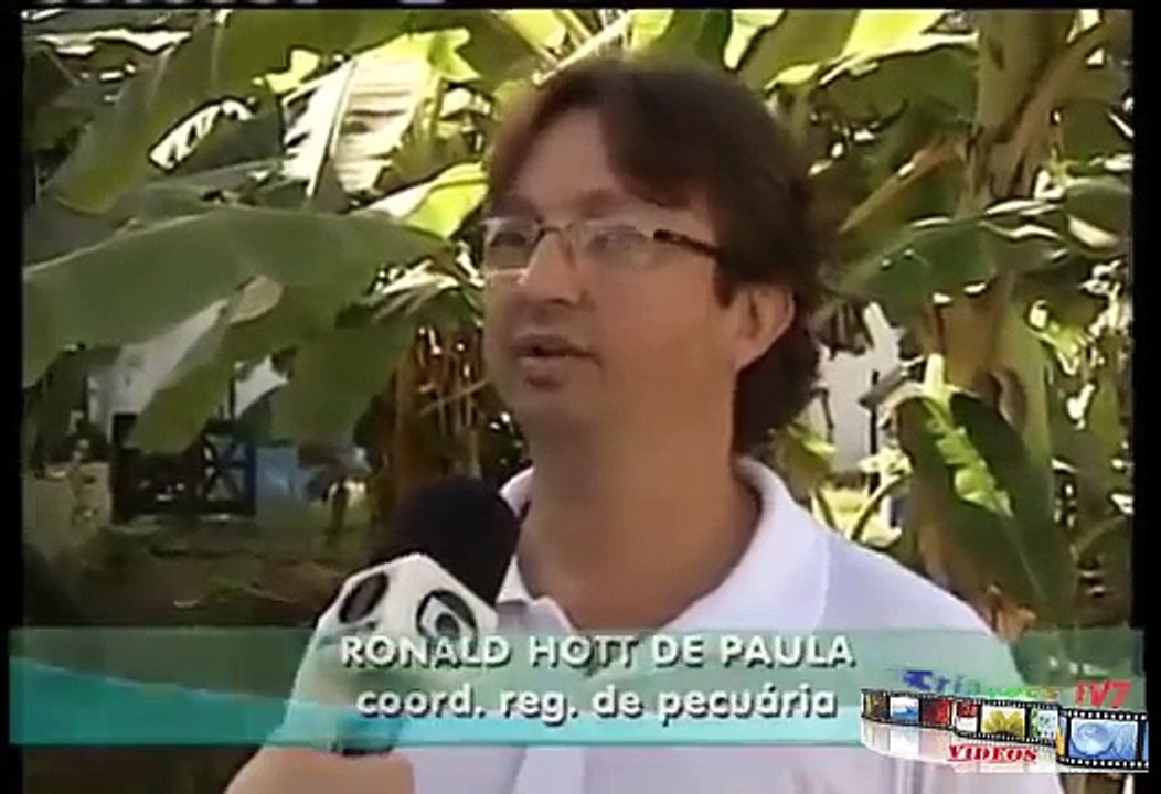 Como Criar Peixe em Caixa de Água