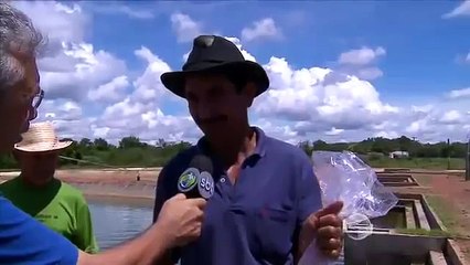 Conheça a piscicultura em tanques escavados em terra firme em Piracuruca