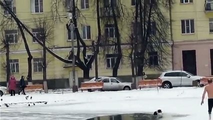 l'homme sauve un chien prisonnier de la glace