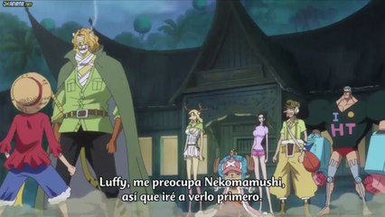 One Piece - Chopper se enamora!