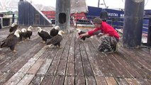 Este pescador alimentava um bando de águias… Mas quando a câmara se virou… Impressionante! Como é possível?