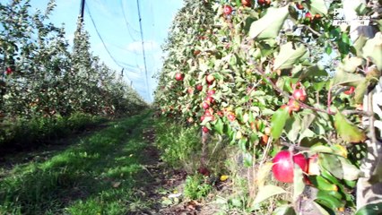 Développement d'une zone horticole et maraîchère - Prix de l'innovation périurbaine
