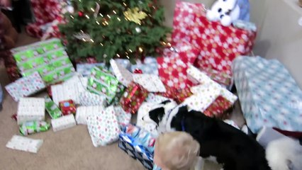 SANTA CAUGHT ON CAMERA!   Daily Bumps Christmas Spectacular 2014