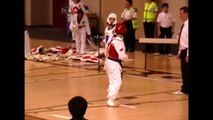 Incredible Taekwondo knock out with one spinning roundhouse kick PEOPLE ARE AWESOME 2016 HD