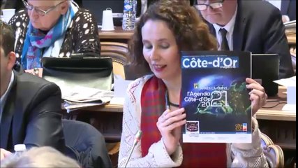 Sandrine HILY et Pierre POILLOT. Rapport d'information sur la politique de développement durable. 28 novembre 2016