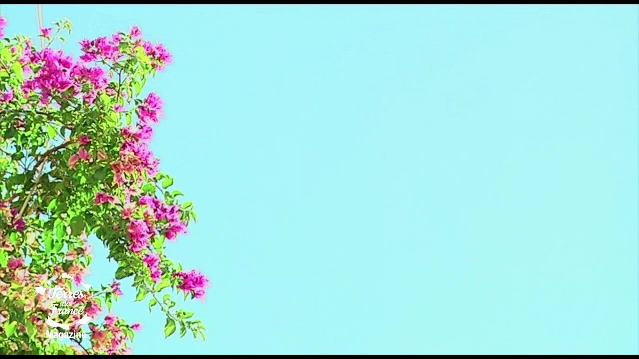 Terre de France - S04 Ep10 - partie 1